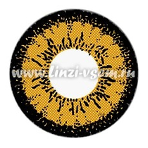 Цветные линзы EOS 209LB Brown Фото 4